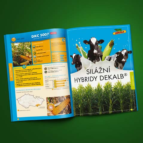 KATALOG KUKUŘICE DEKALB 2013 • Klient: MONSANTO ČR s.r.o.